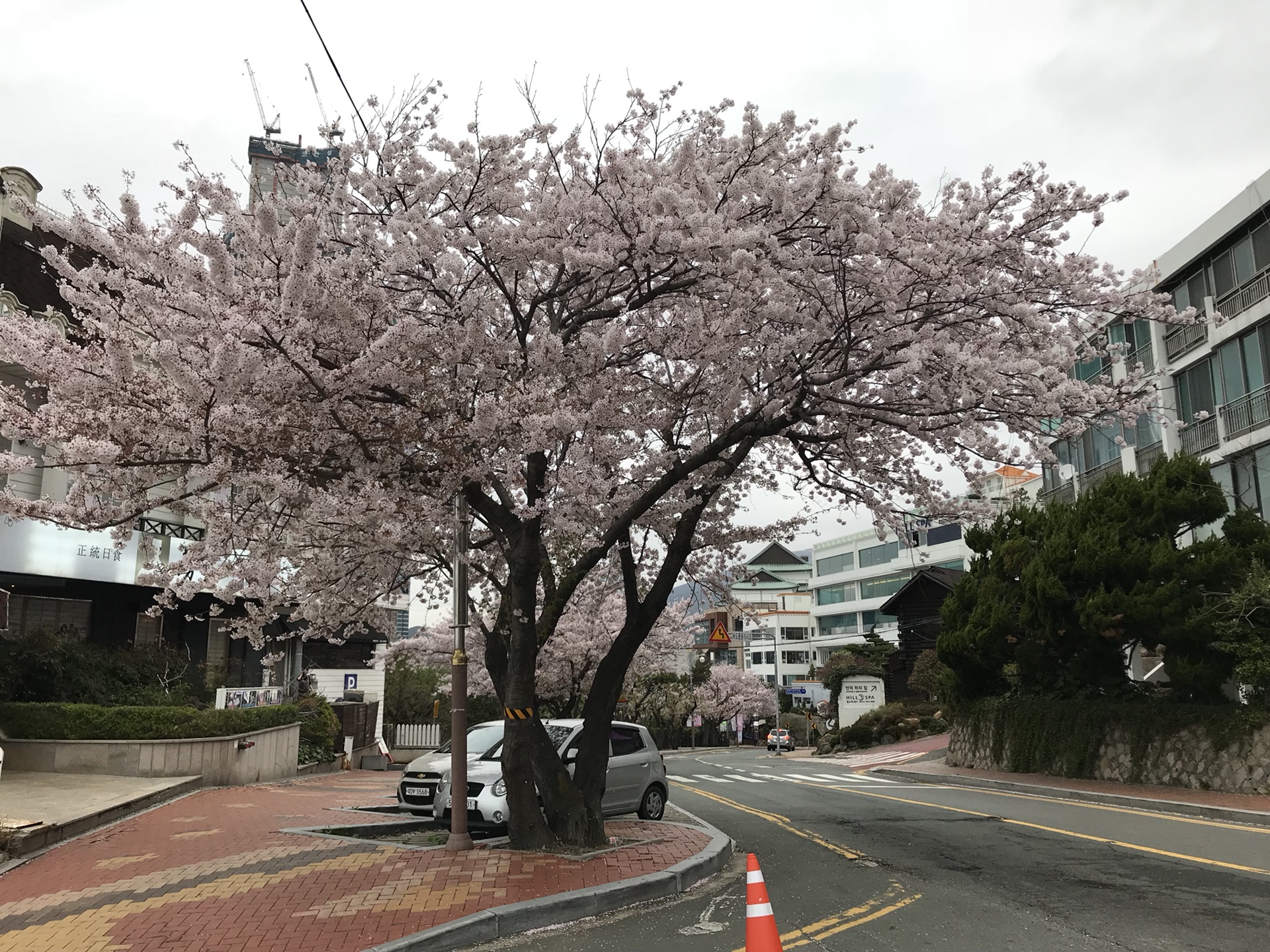 韓國自助遊攻略