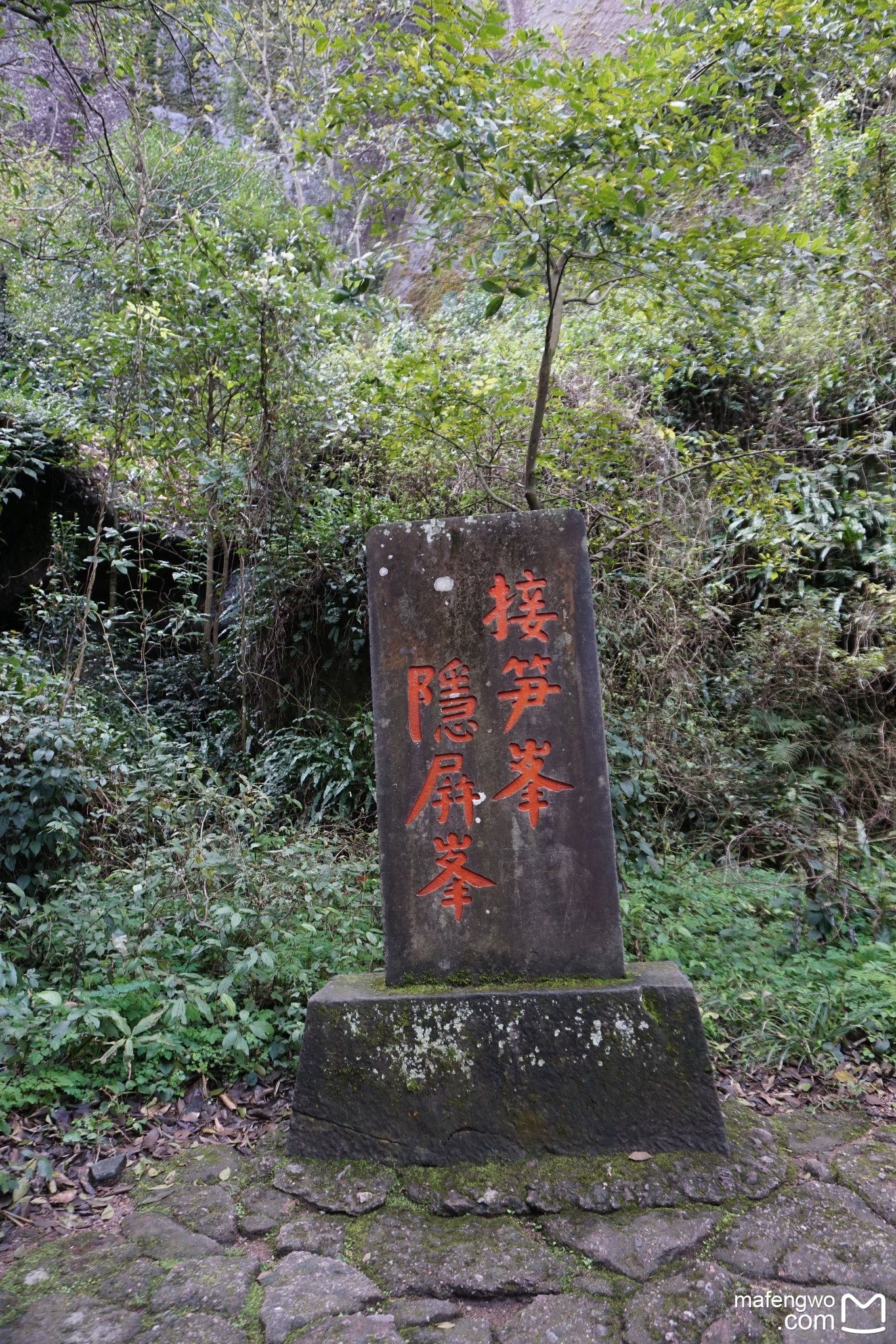 武夷山自助遊攻略