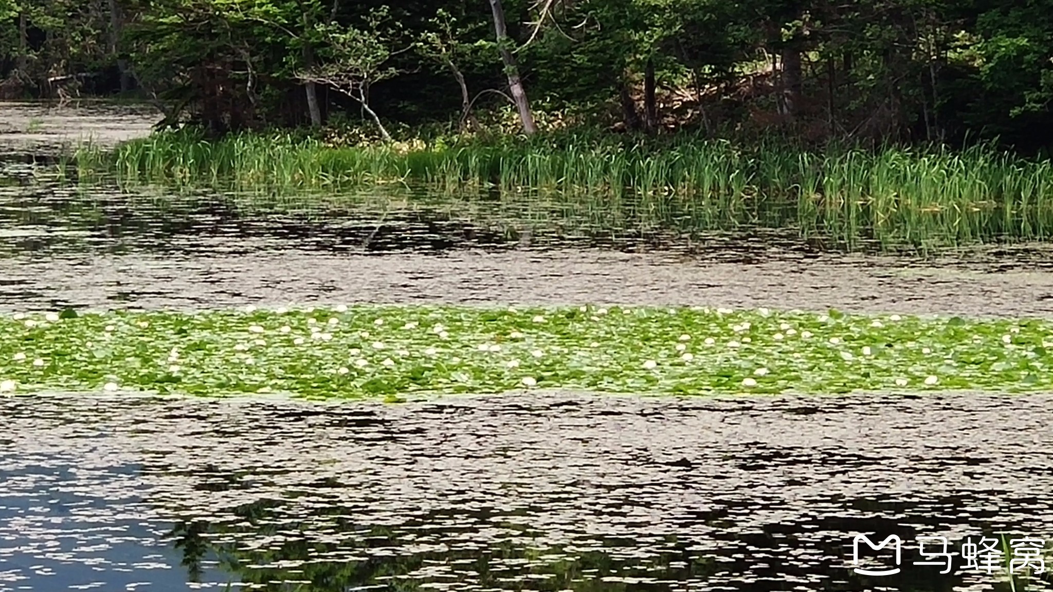 北海道自助遊攻略