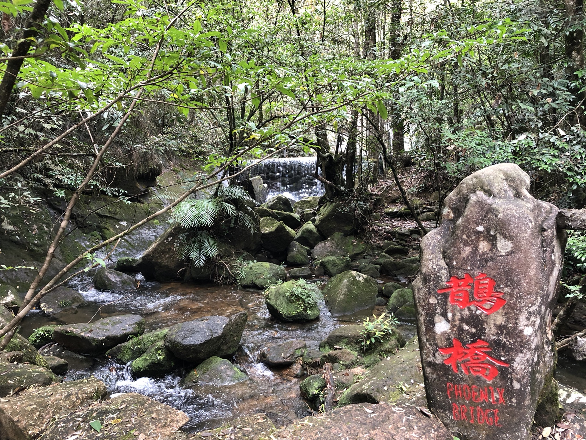 武夷山自助遊攻略