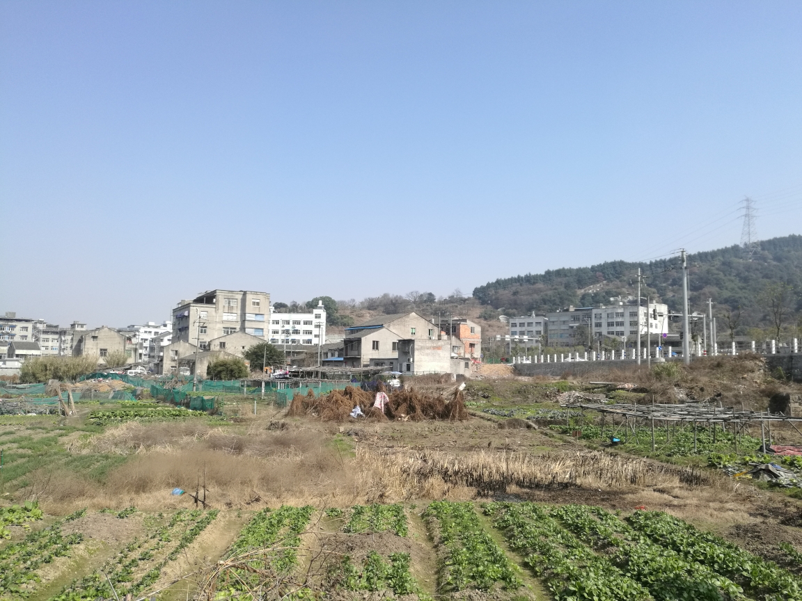 瓯海区人均_温州市瓯海区(2)
