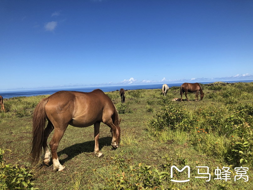 複活節島自助遊攻略