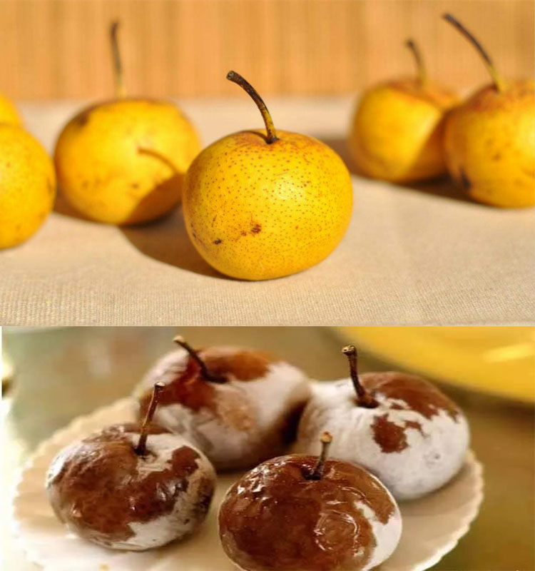              新鲜的香水梨和黑的