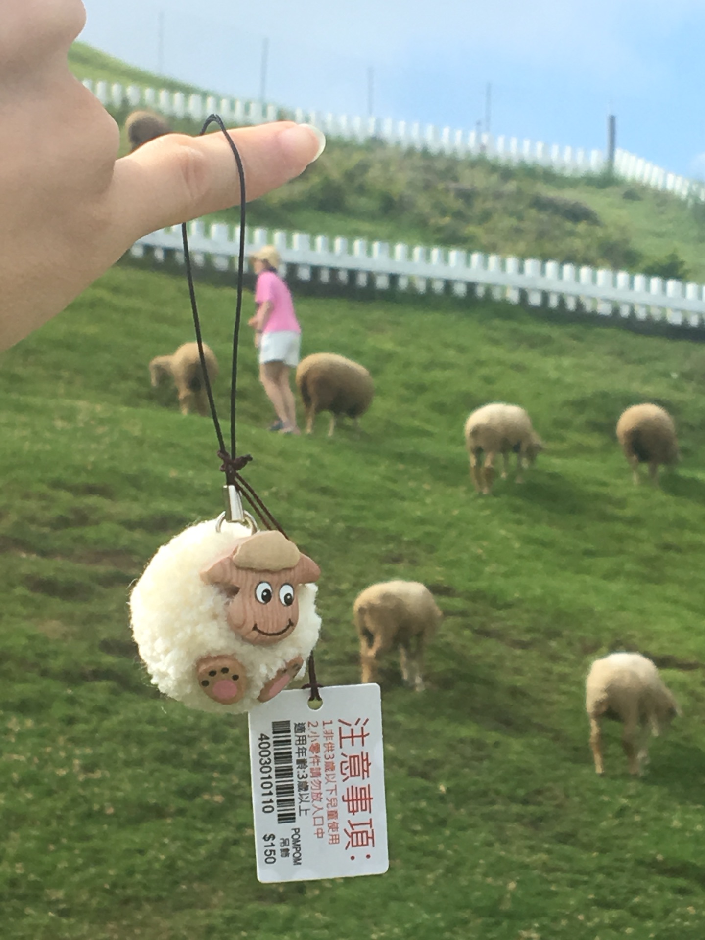 wKgBEFsfvheAMxDIAAYJ2HMGluI08.jpeg?imageView2%2F2%2Fw%2F600%2Fh%2F600%2Fq%2F90