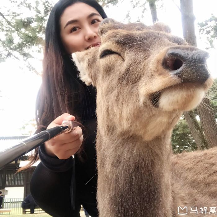 (自拍,单反照片都行)