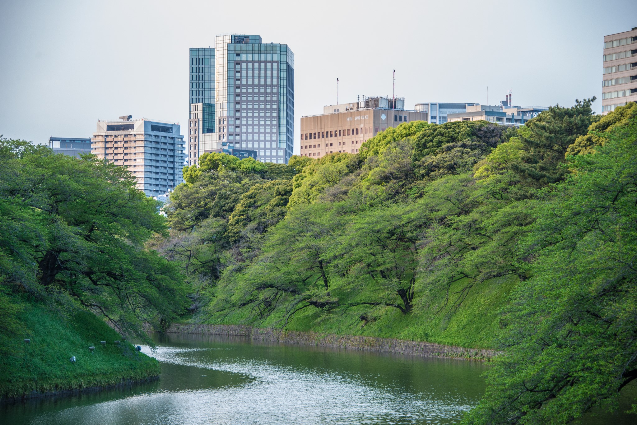 日本自助遊攻略