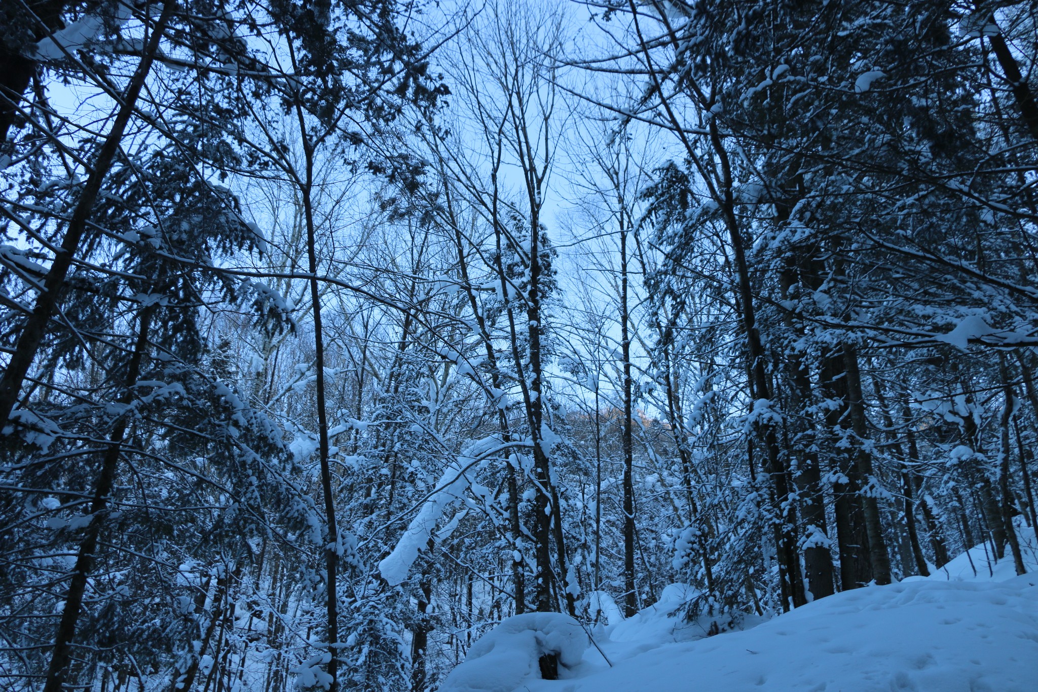 雪鄉自助遊攻略