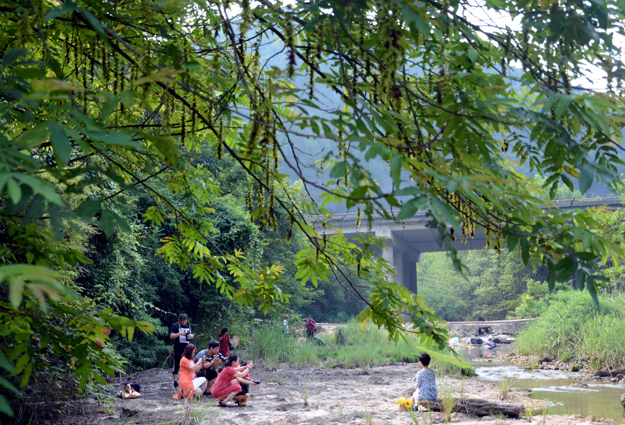 宜都渔洋溪--宜都游记--马蜂窝