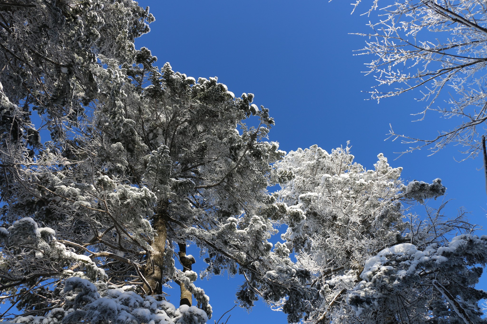 雪鄉自助遊攻略