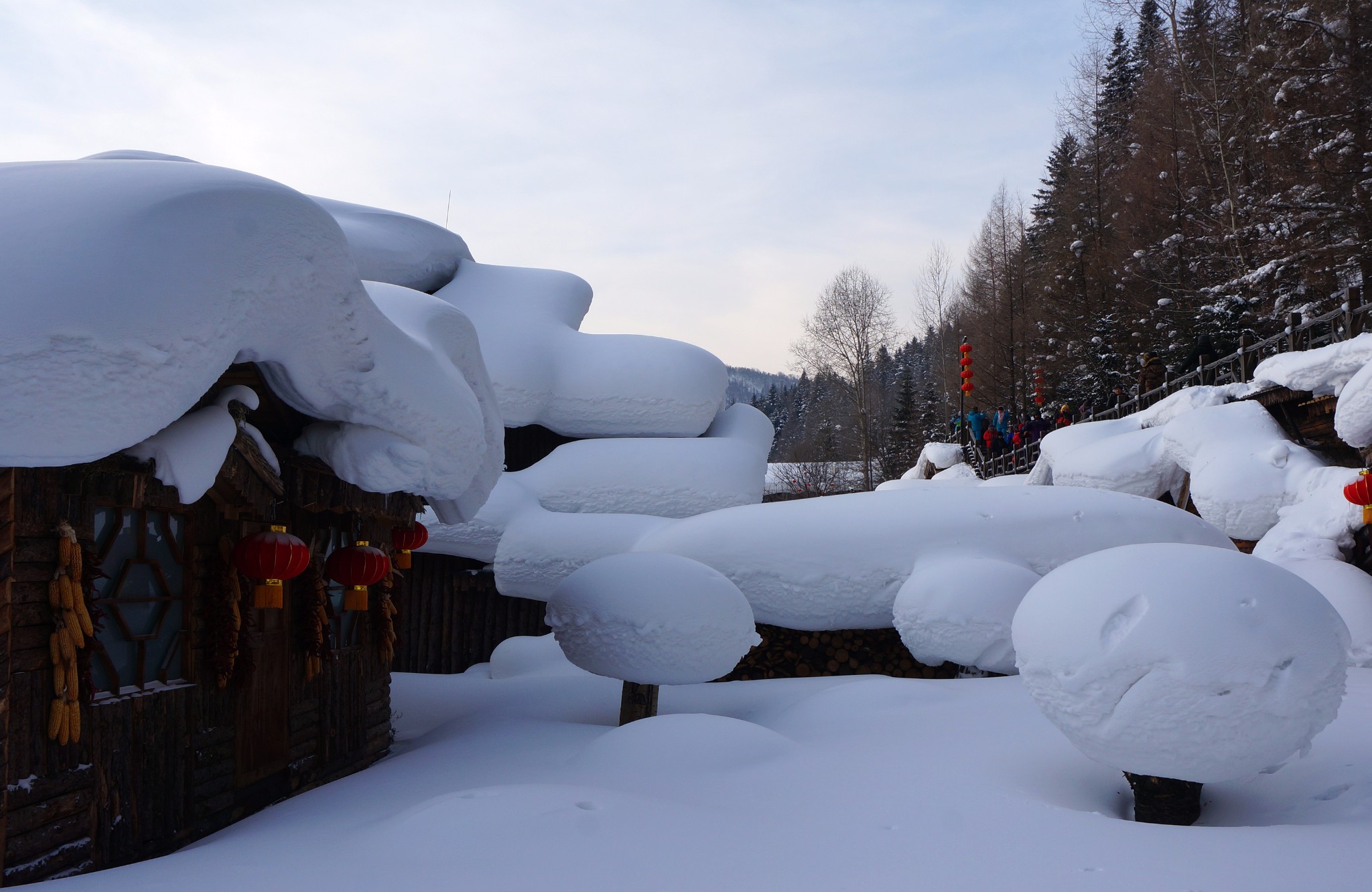 雪鄉自助遊攻略