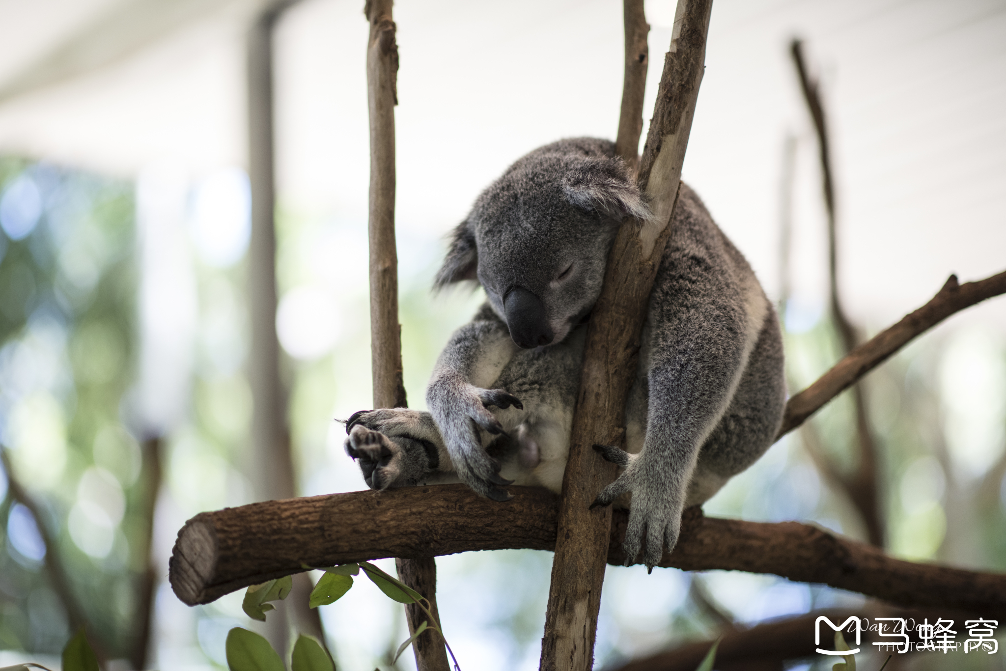 wKgBEFsSwo2AQJfgABt4sYspeZM42.jpeg?imageView2%2F2%2Fw%2F600%2Fh%2F600%2Fq%2F90