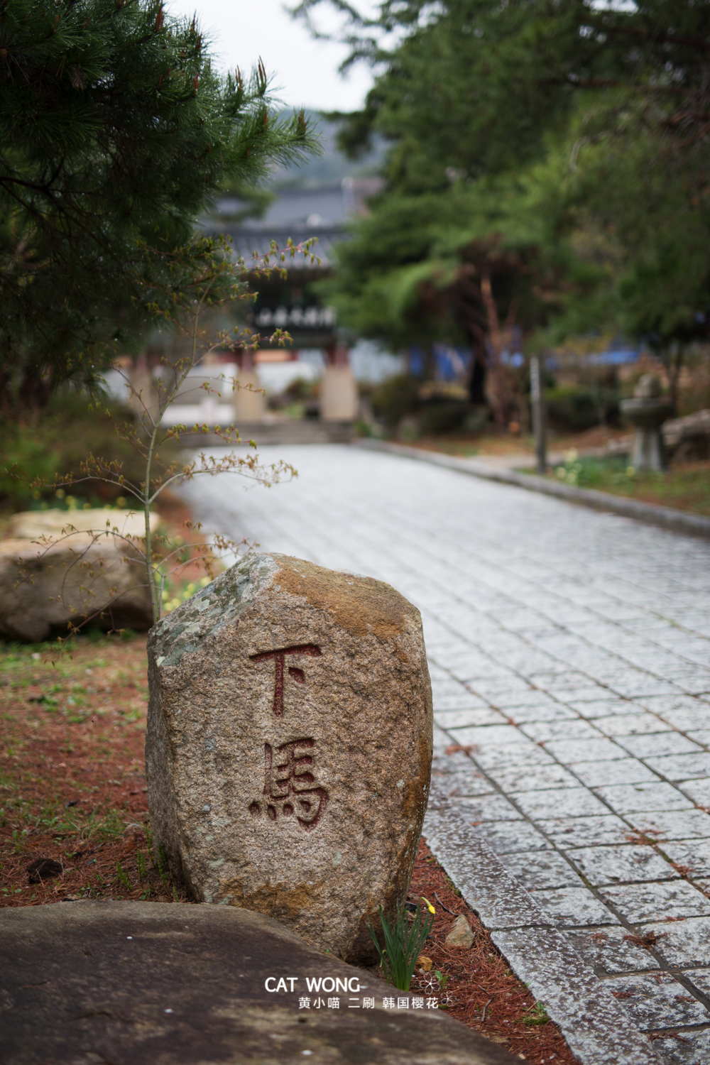 釜山自助遊攻略