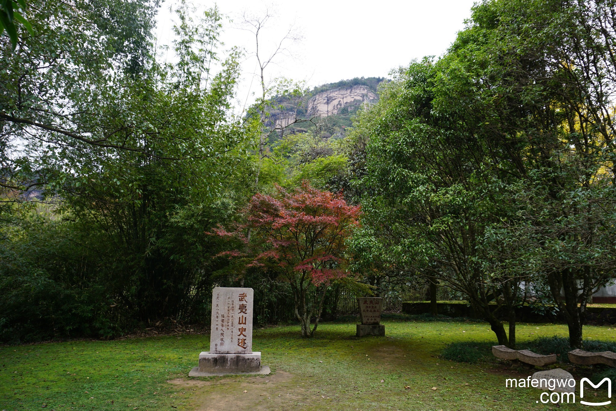 武夷山自助遊攻略