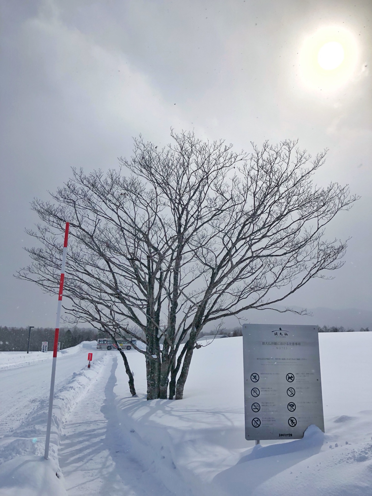 札幌自助遊攻略