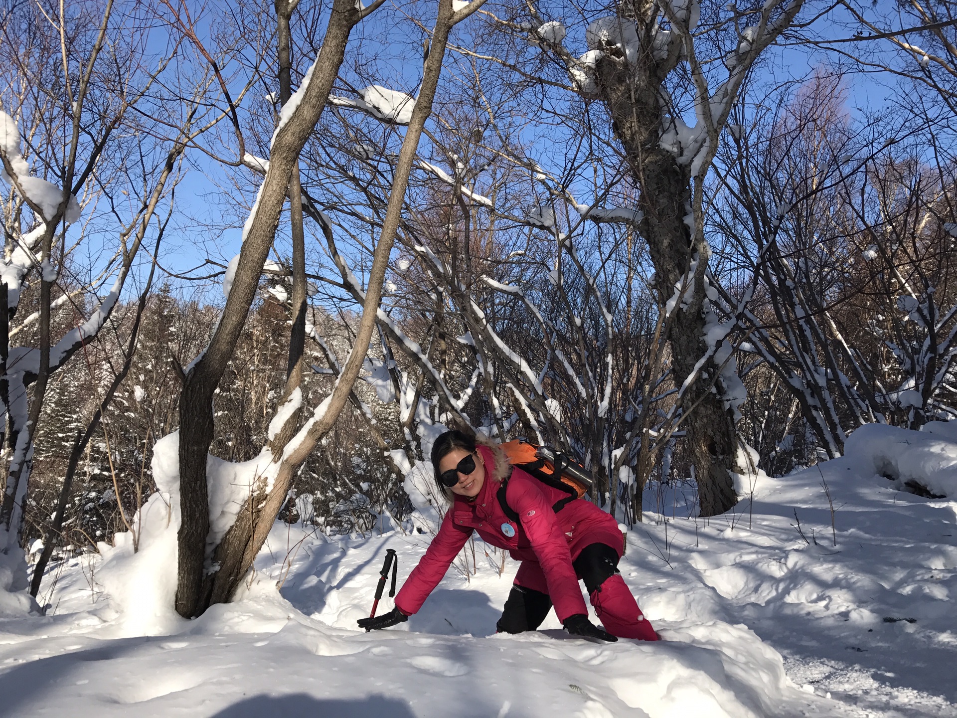 雪鄉自助遊攻略