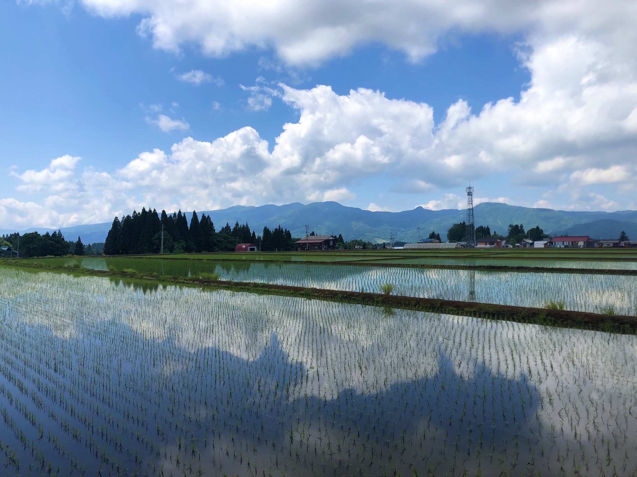 日本自助遊攻略