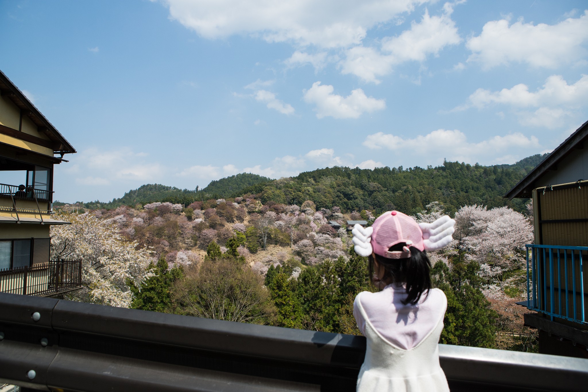 和歌山市自助遊攻略