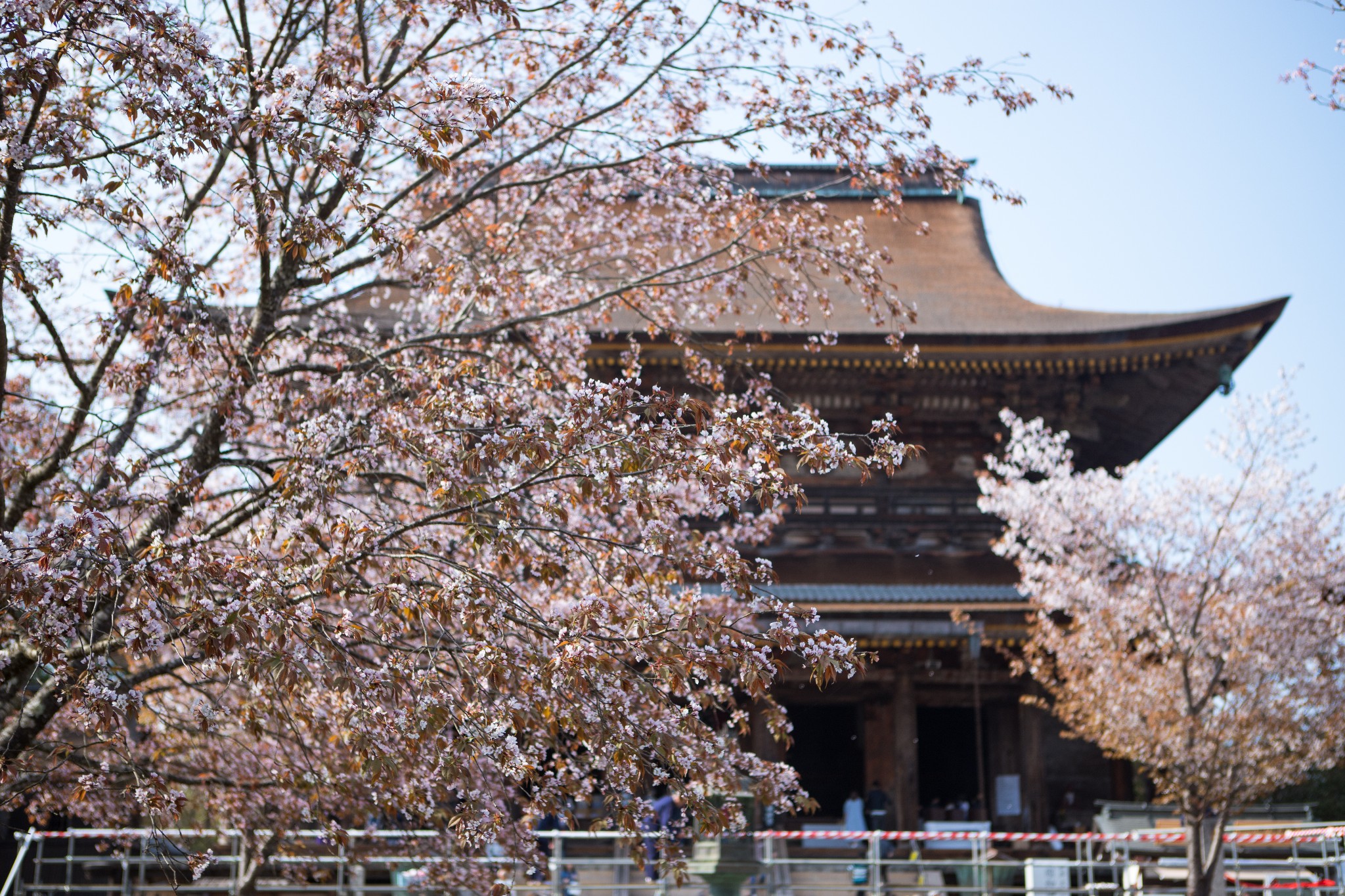 和歌山市自助遊攻略