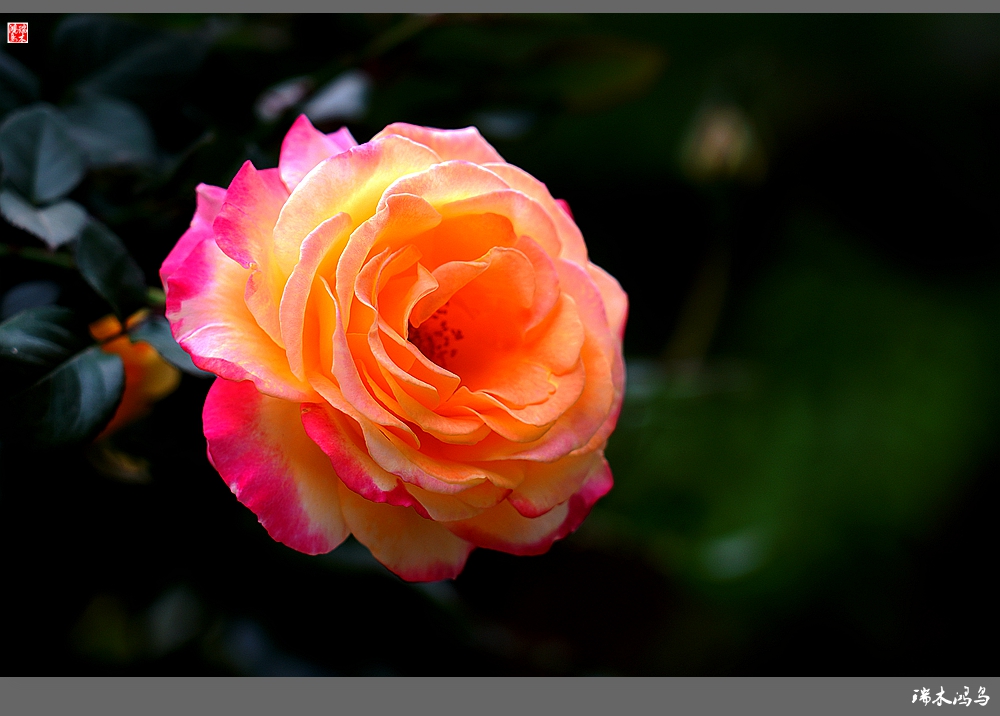 wKgBEFsKBAyAaiqQAAaM7qbtvEg46.jpeg?imageView2%2F2%2Fw%2F680%2Fq%2F90%7CimageMogr2%2Fstrip%2Fquality%2F90