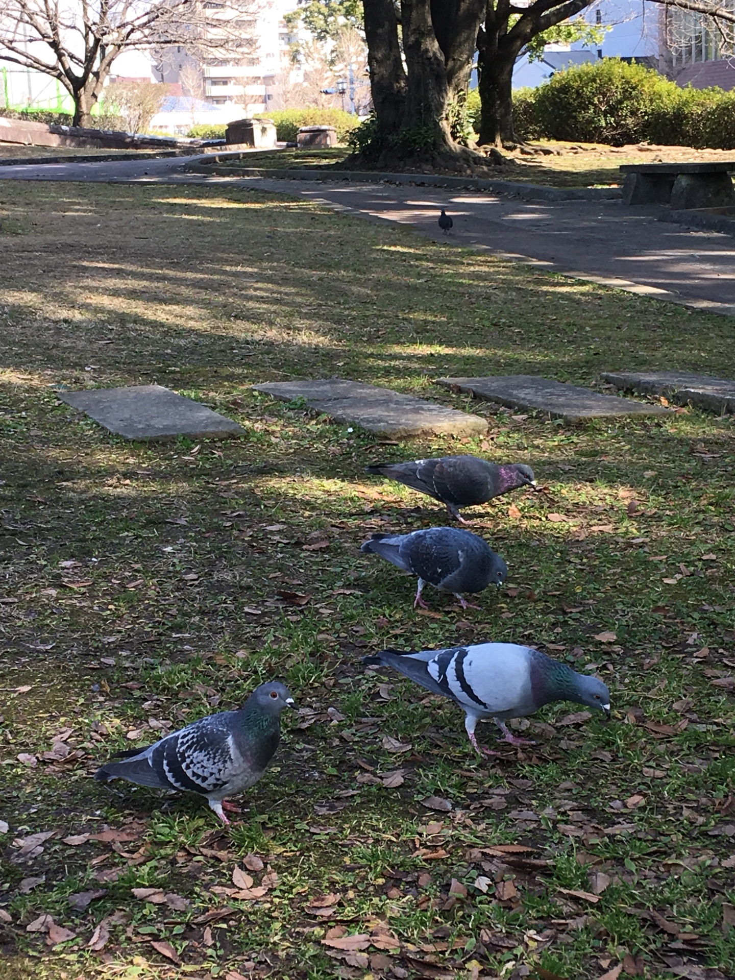 福岡自助遊攻略