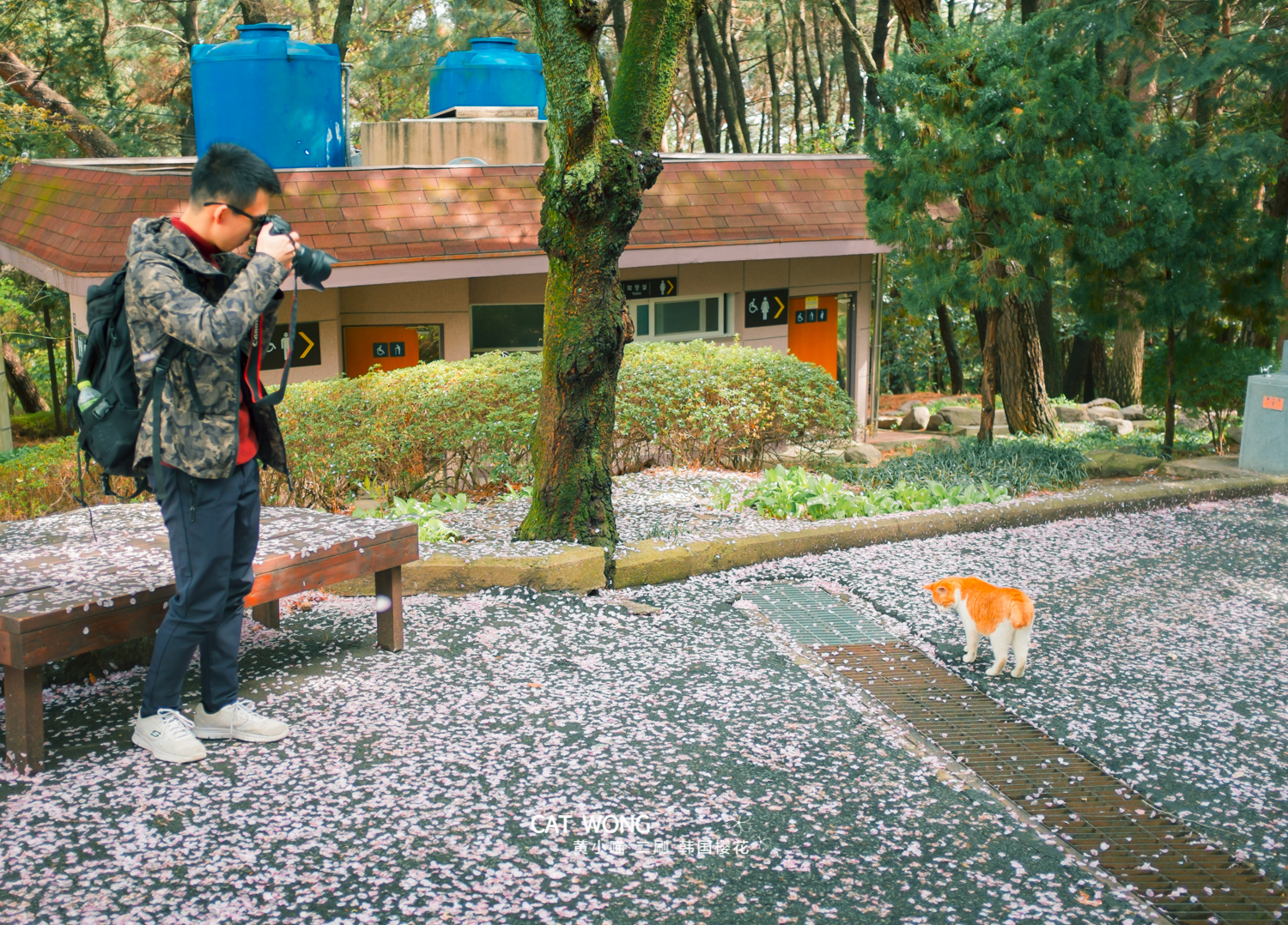 釜山自助遊攻略