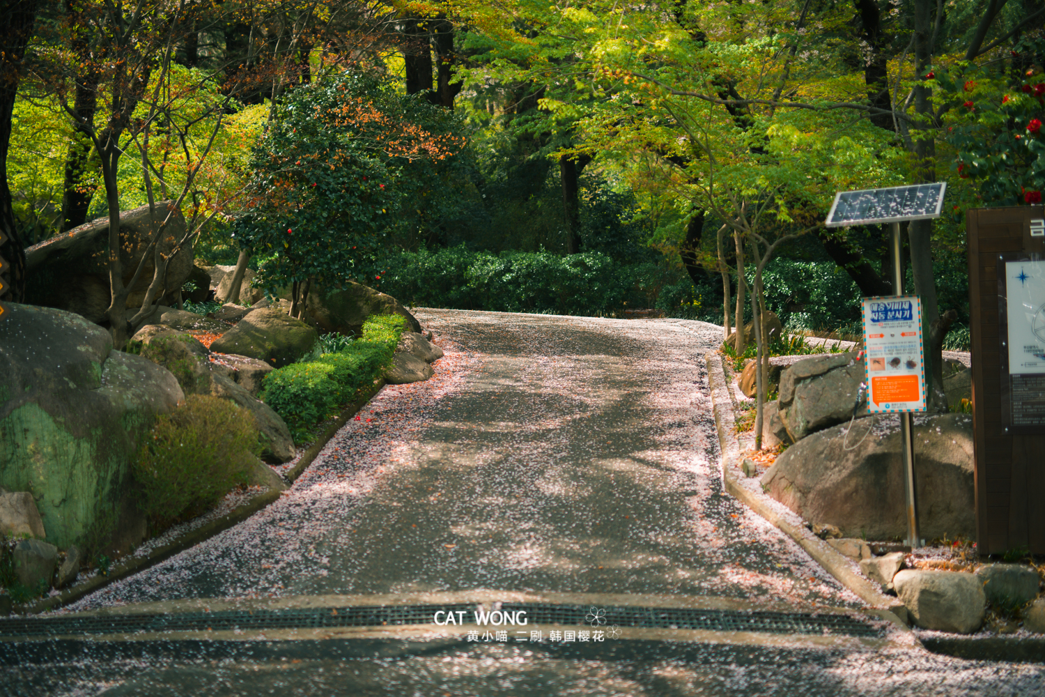 釜山自助遊攻略