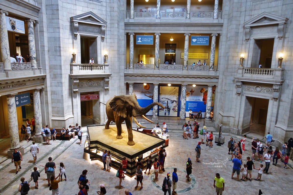 所有游记图片 141/181 史密森尼国家自然历史博物馆 史密森尼国家自然