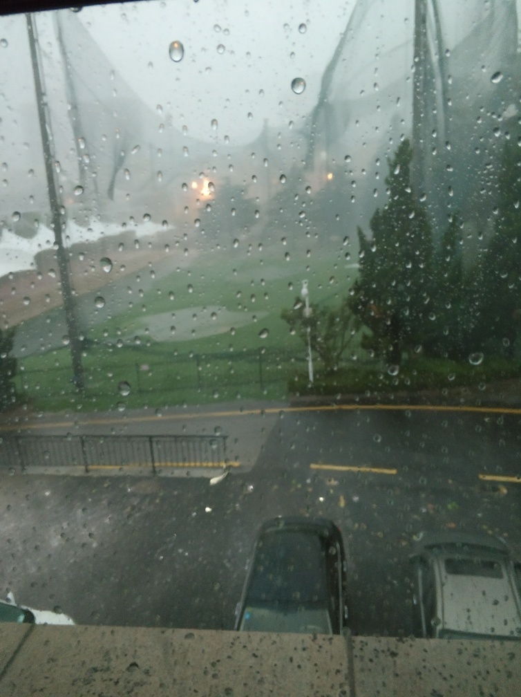 据说青岛昨天下了特别大的冰雹和【海鲜】是吗