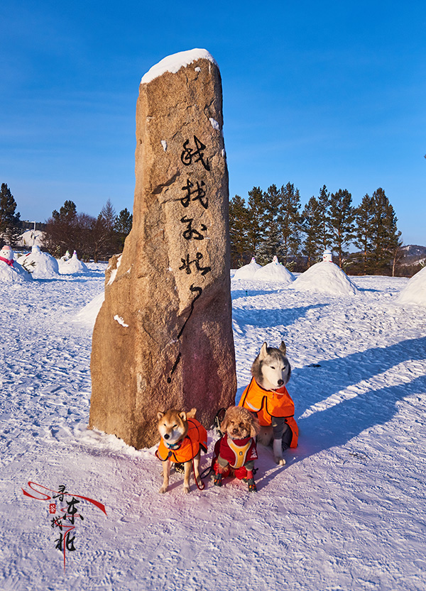 【帶狗自駕】開著山貓帶著狗去-40℃的冰雪世界裡尋東找北--撫遠/庫爾