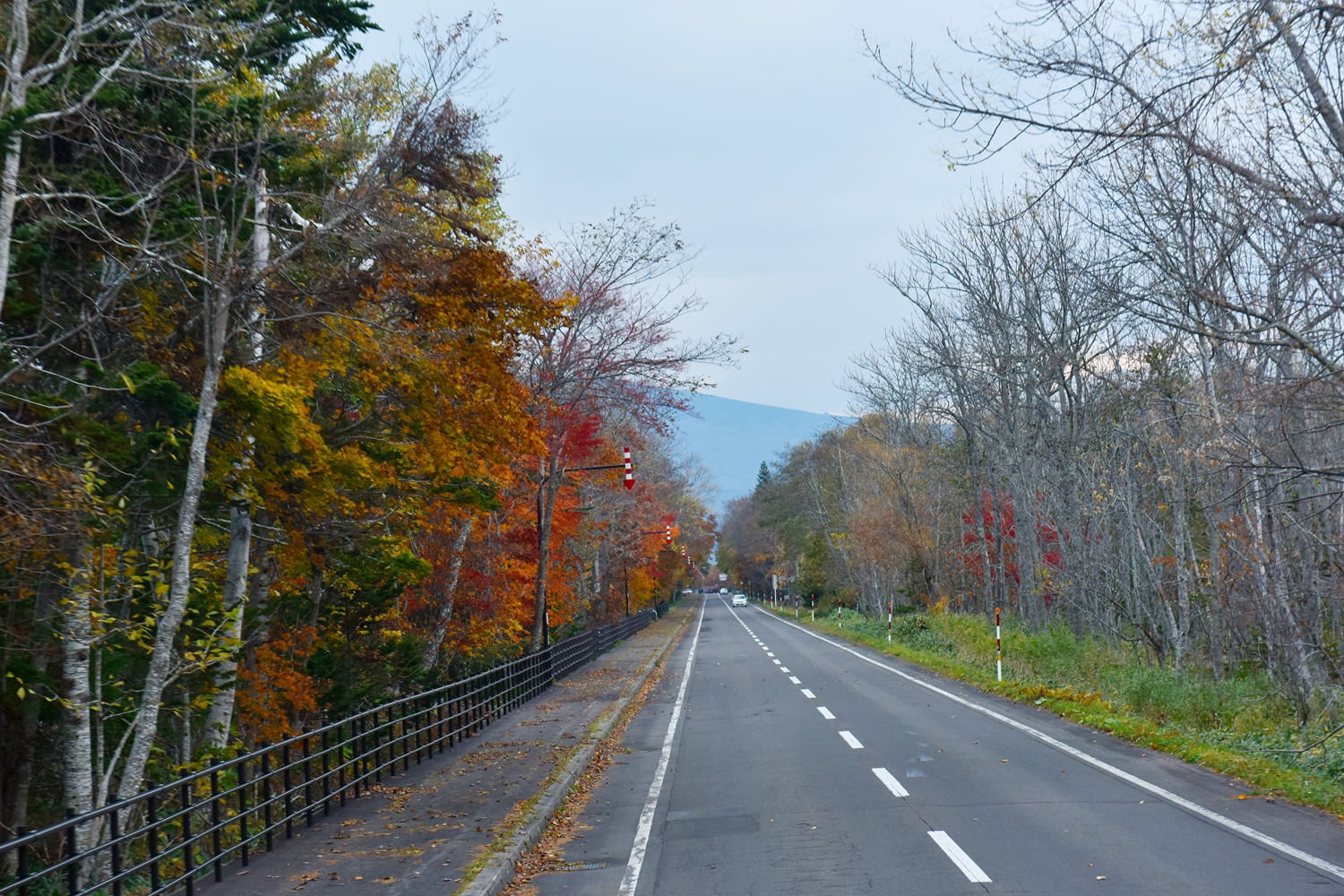 北海道自助遊攻略