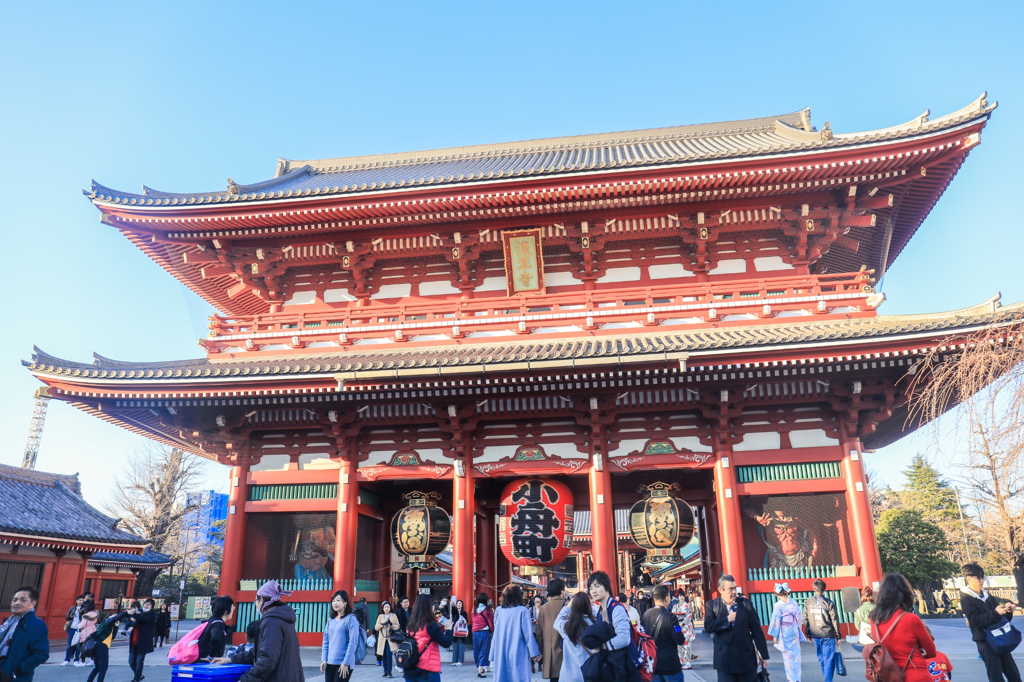 途牛首发 蛙系旅行再渡霓虹 随遇而安 内含药妆店购物指南 东京 攻略游记 途牛