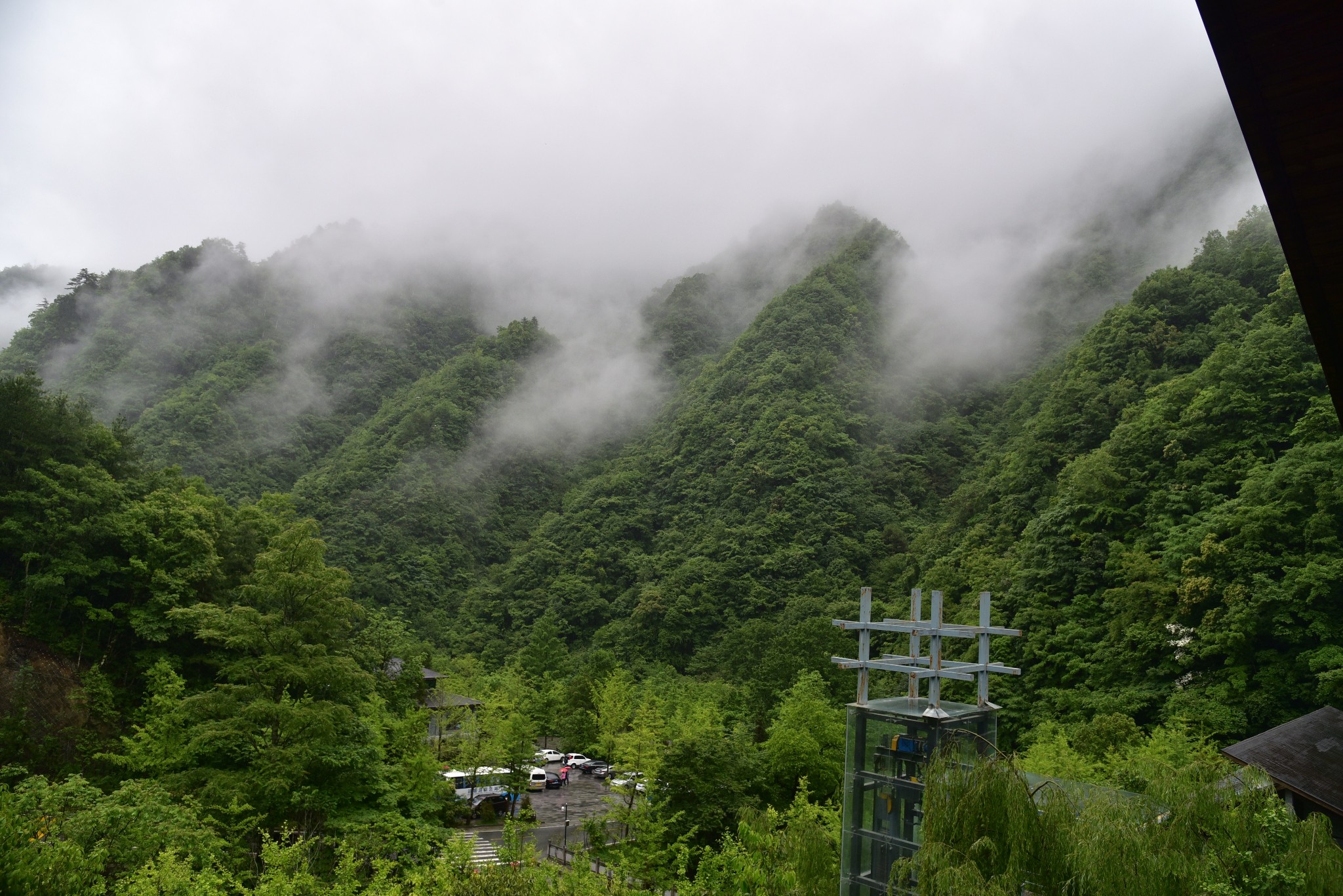 神农架人口有多少_神农架野人(2)