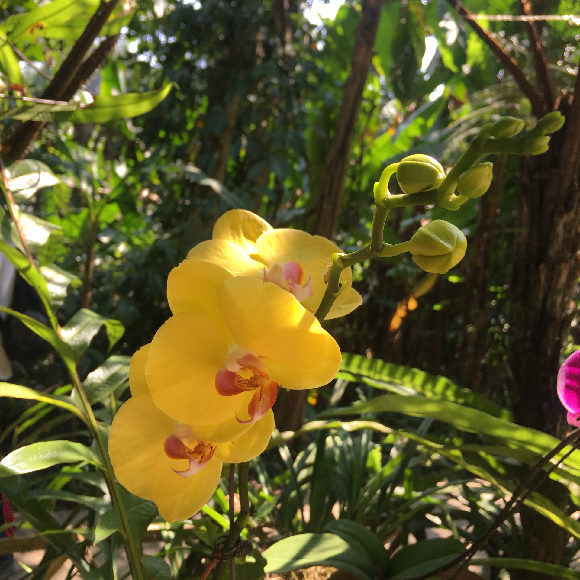 太阳两个人猜成语_两个人猜成语图片大全(3)