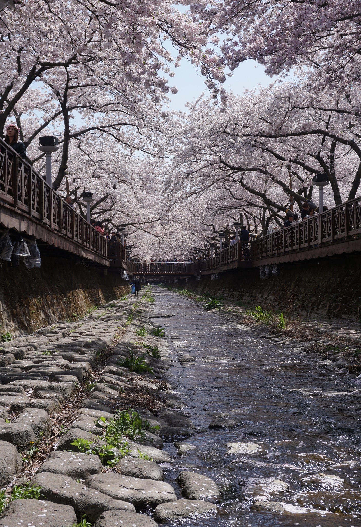 釜山自助遊攻略