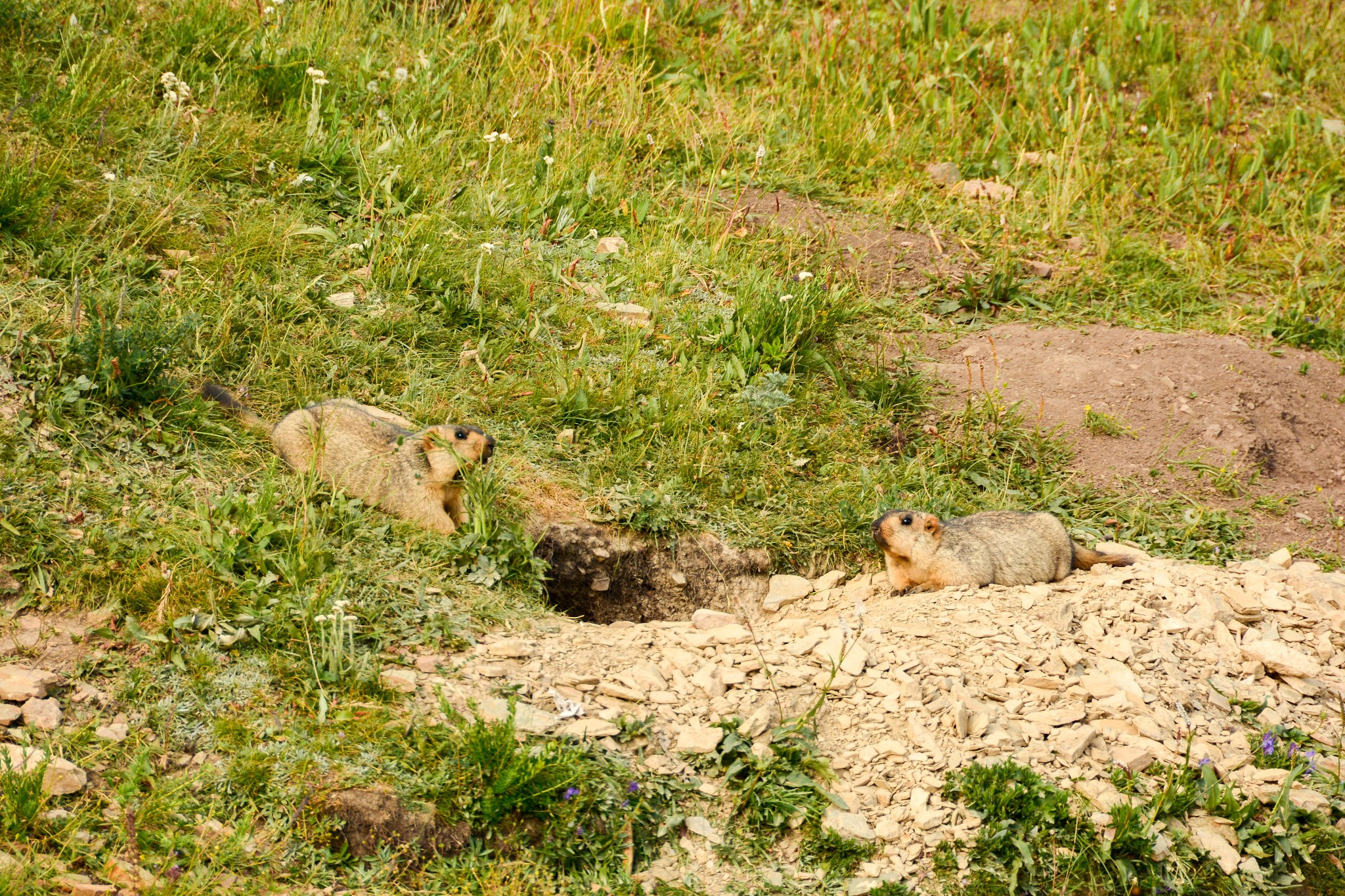 wKgBEFqe1VSAMgU2ABTNZpvrWQY91.jpeg?imageView2%2F2%2Fw%2F600%2Fh%2F600%2Fq%2F90