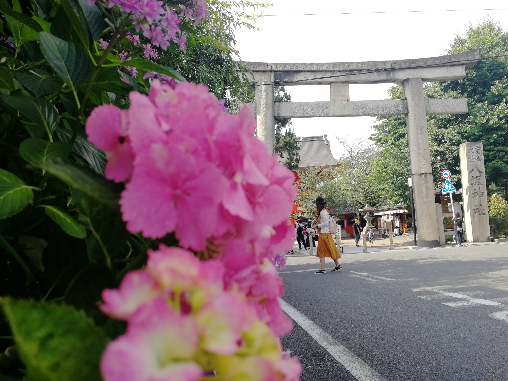 京都自助遊攻略