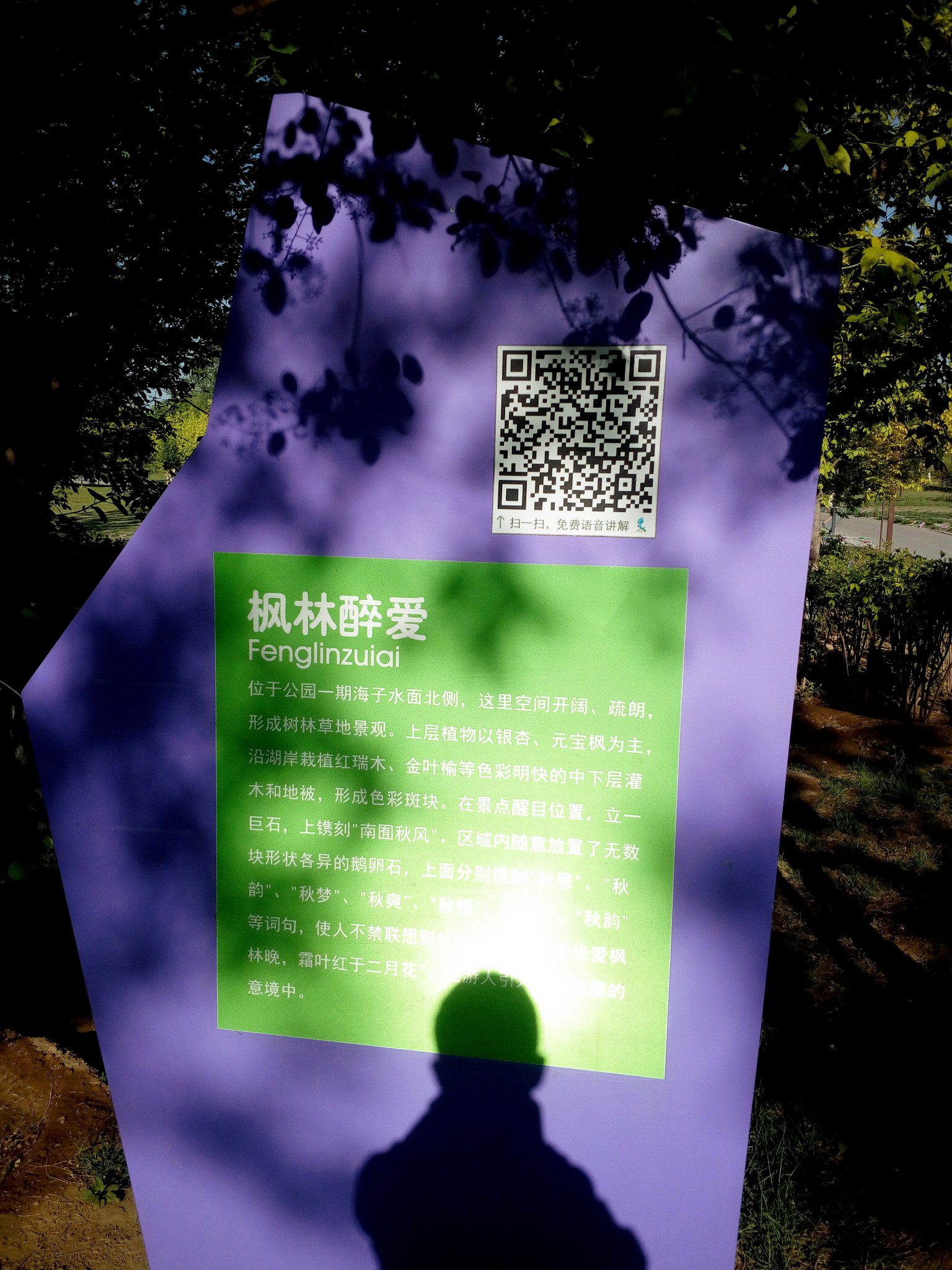 wKgBEFrEJe2AUhb7AApM8vou2AQ69.jpeg?imageView2%2F2%2Fw%2F600%2Fh%2F600%2Fq%2F90