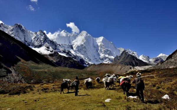 喜马拉雅山有什么动物 wKgBEFrz7GaAQLHiAADetLraT0A37.jpeg?imageView2%2F2%2Fw%2F600%2Fh%2F600%2Fq%2F90