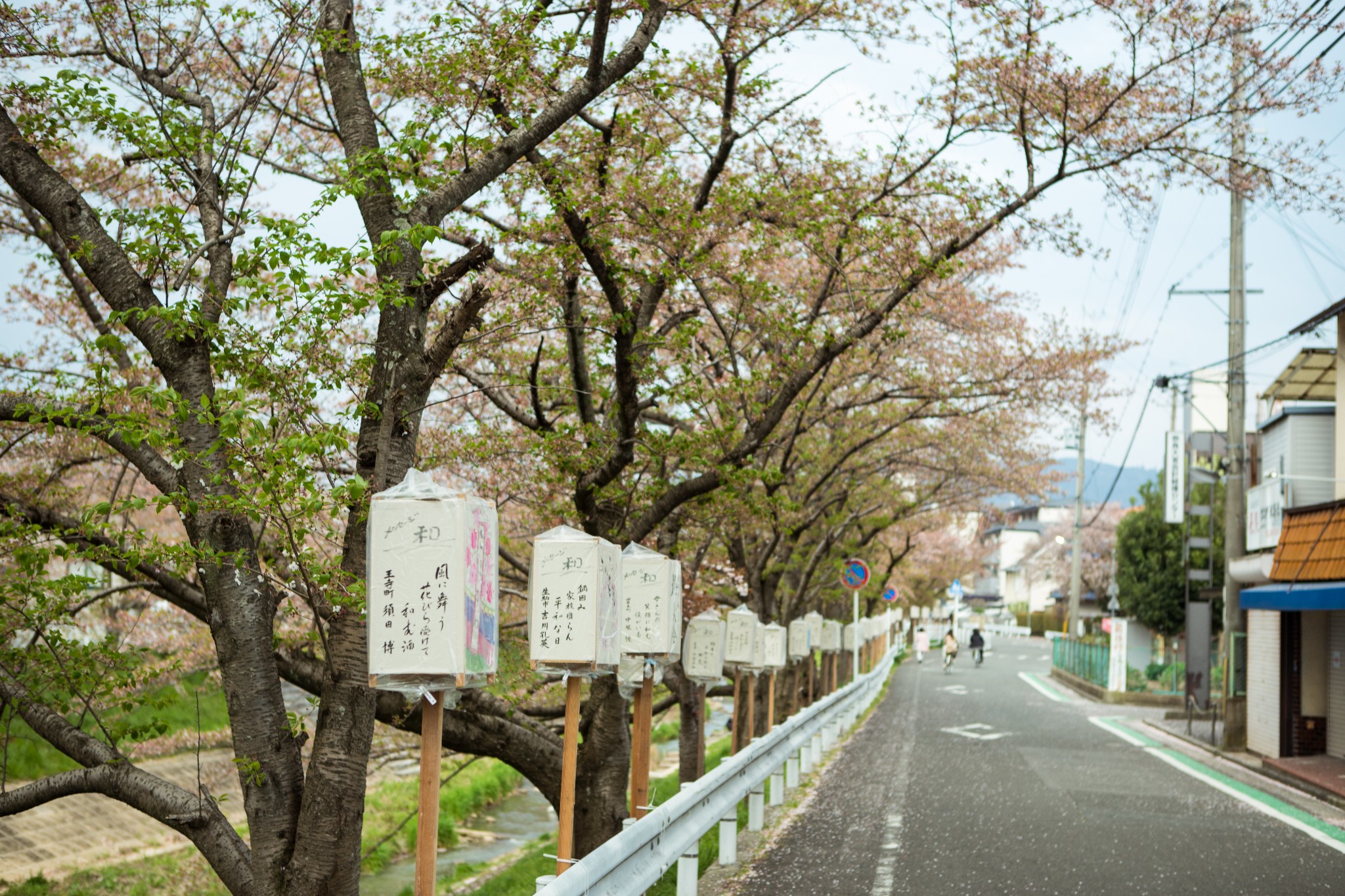 和歌山市自助遊攻略