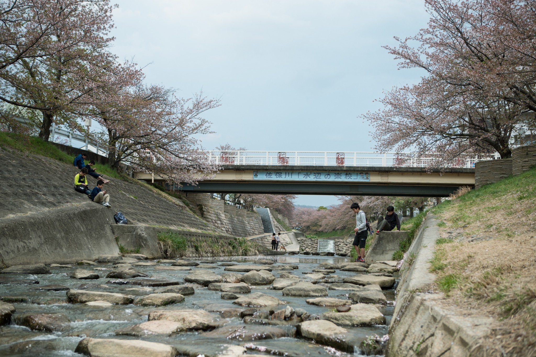 和歌山市自助遊攻略