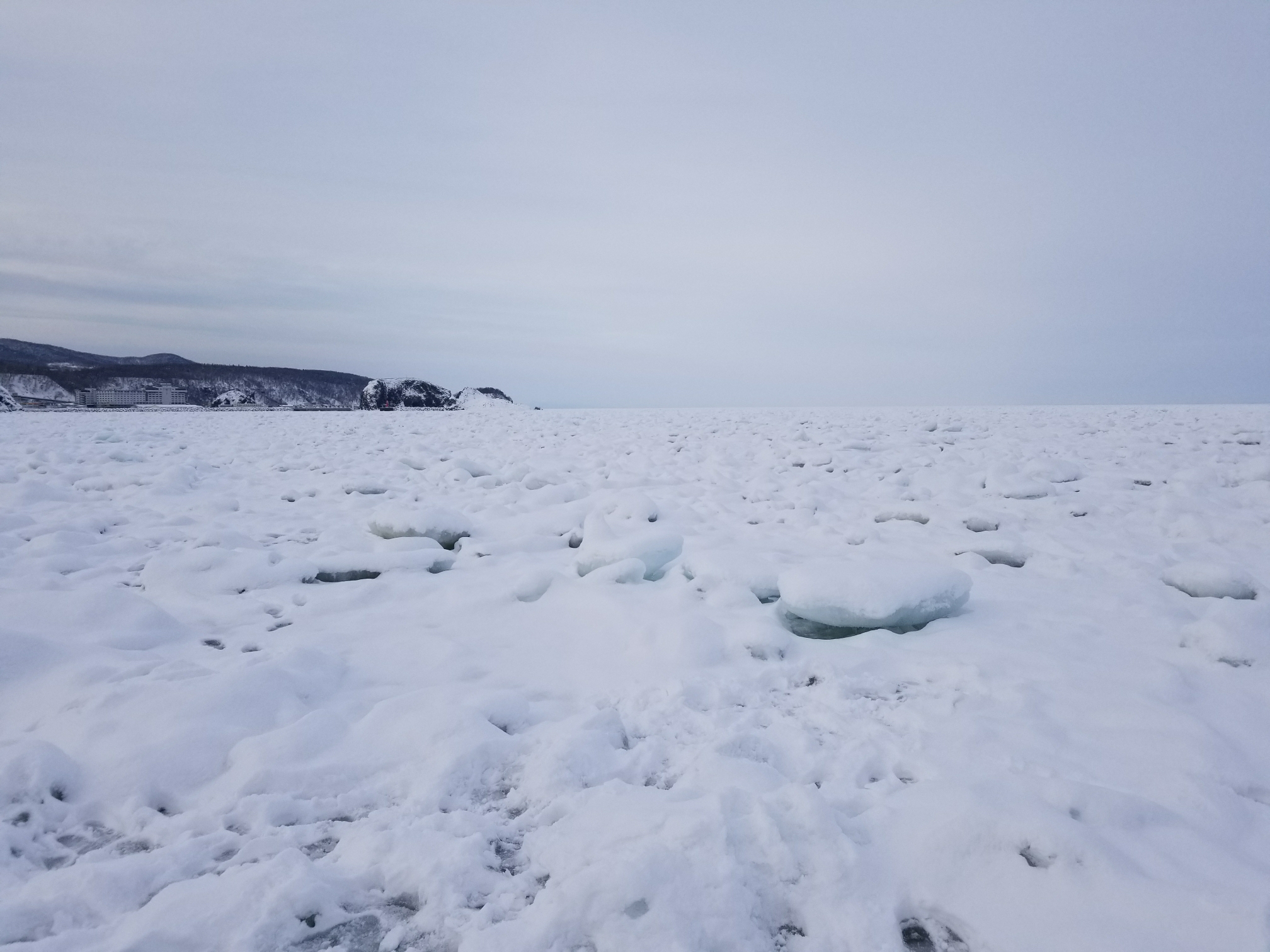 北海道自助遊攻略