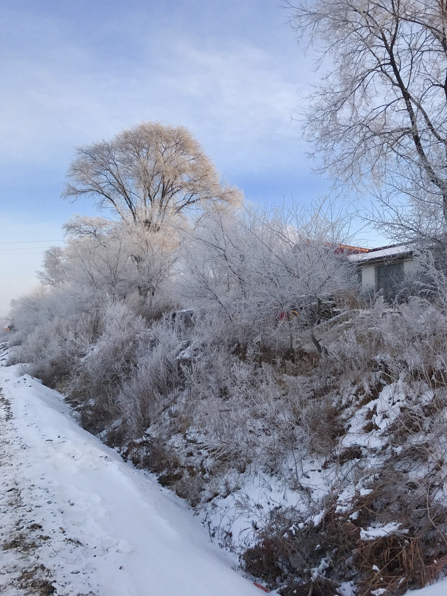 雪鄉自助遊攻略