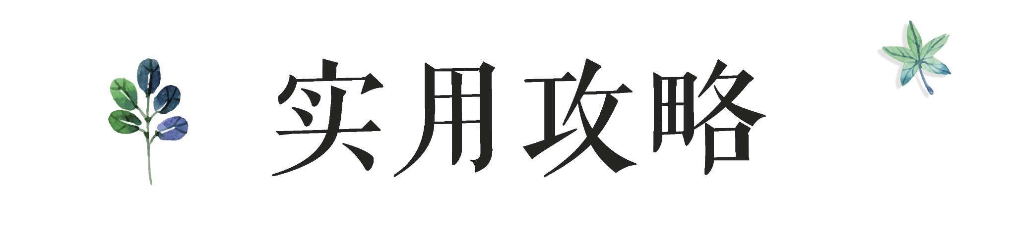 阿爾巴尼亞自助遊攻略