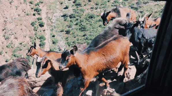 596_335gif 动态图 动图