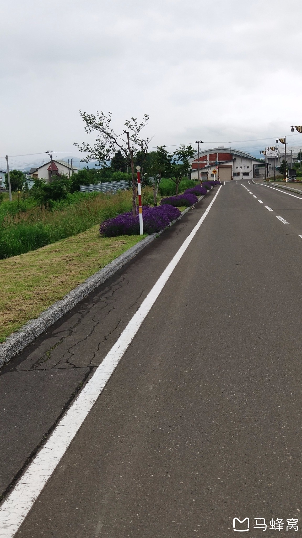 北海道自助遊攻略