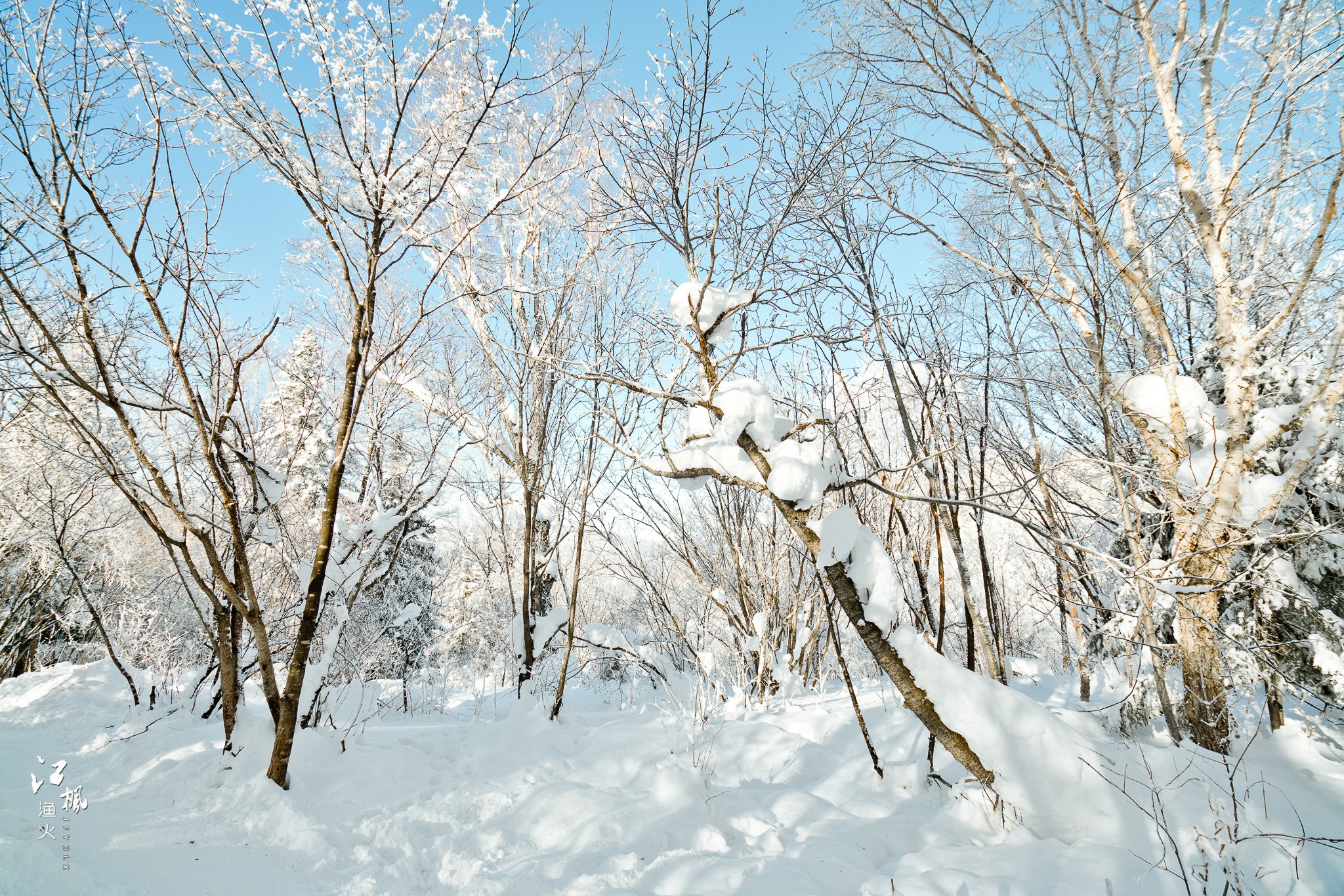 雪鄉自助遊攻略