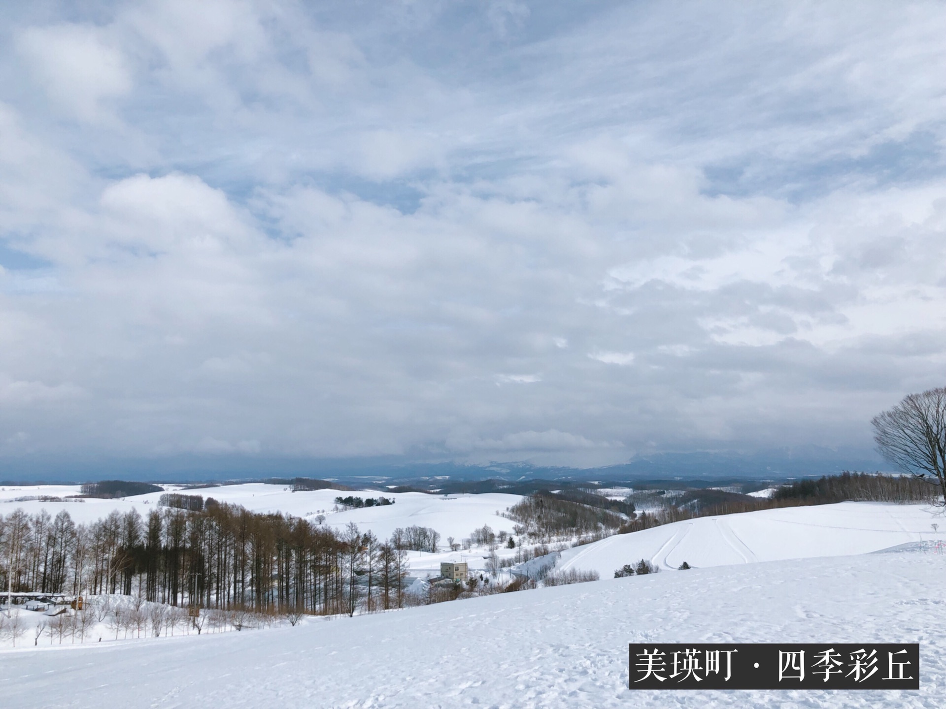 札幌自助遊攻略