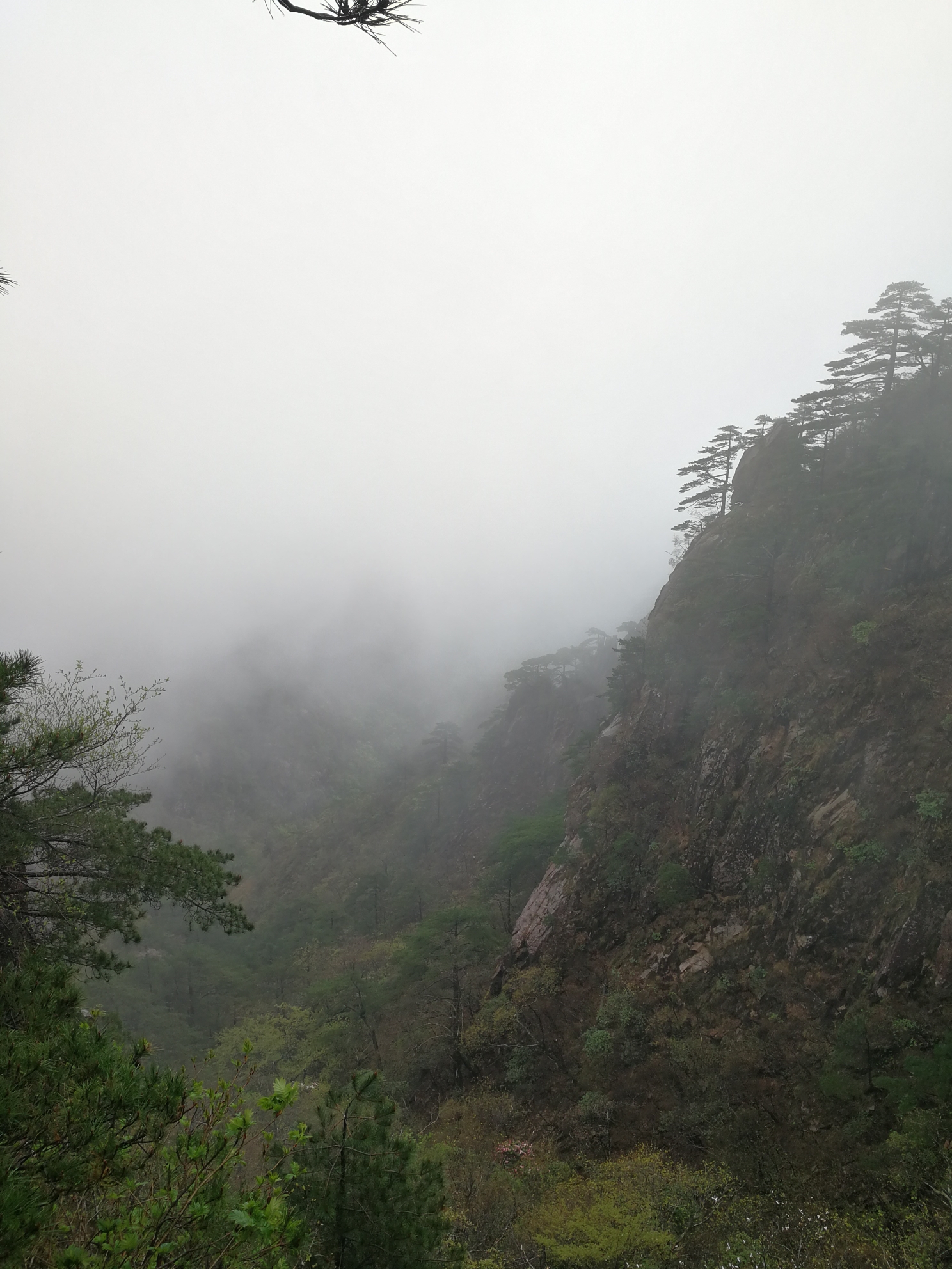 黄山人口好少_黄山云雾好风光图片