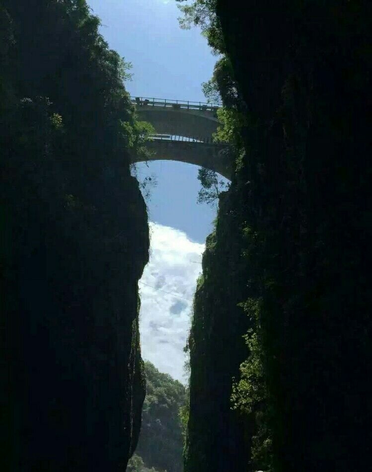 wKgBEFsnsiCAfwKTAAK56tToNhs87.jpeg?imageView2%2F2%2Fw%2F600%2Fh%2F600%2Fq%2F90