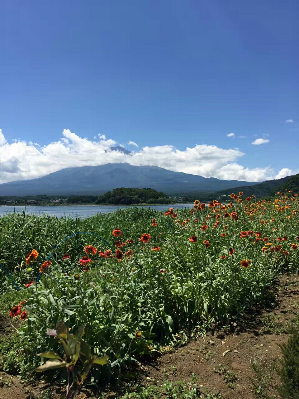 富士山自助遊攻略